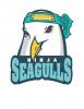 Ninja Seagulls's picture